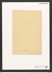 Pleurosigma angulatum aestari [sic?] (Breb.) V.H. (de-Toni-Nr.: Genus 13, Species 1001) Zeichnungen Sammlung Grunow (NHMW-BOT-W0368836)